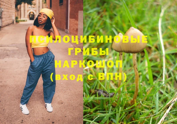 хмурый Костерёво