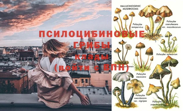 мдпв Красноперекопск