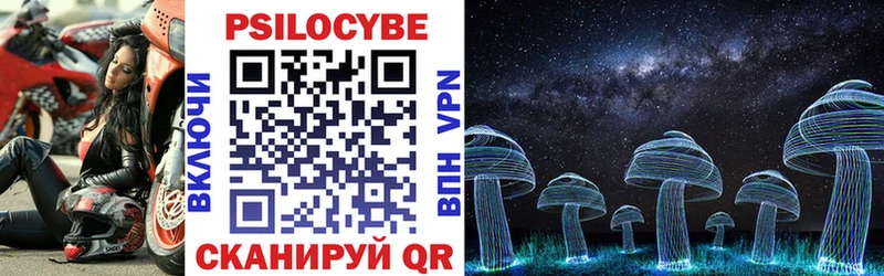 Галлюциногенные грибы Psilocybe Называевск